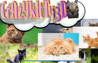 Crazy Kitty 3D